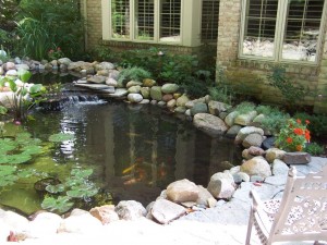 water features 021