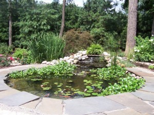water features 025
