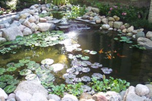 water features 028